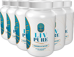 Liv Pure 6-bottle pack